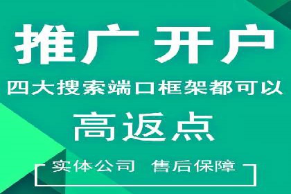 百度推广费用投入与品牌知名度提升的案例分析